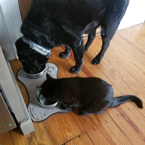 Stephanie Van Patten